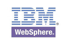 SRVE0190E - IBM WebSphere logo