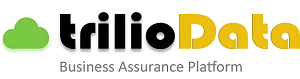 Trilio-Business Assurance_300 Pixels