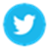 Title: Twitter - Description: image of Twitter icon