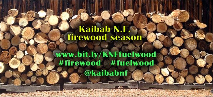 Title: Firewood pile - Description: Image showing a pile of firewood.