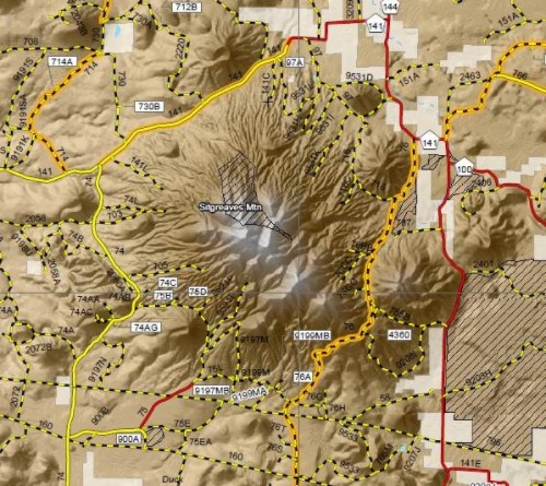 Title: Example of Travel Map - Description: A section of a digital Travel Map displaying more extensive cartographic design intended to better assist motorists in navigating forest roads. Courtesy of Kaibab National Forest.