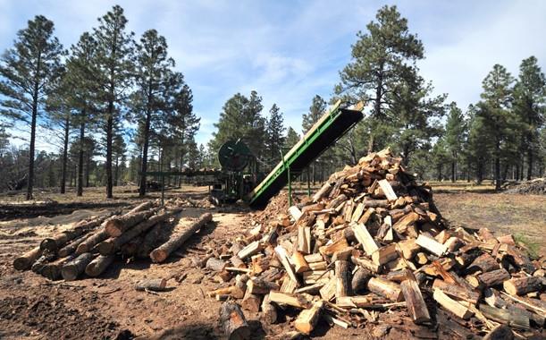 Title: Forest Restoration - Description: Forest restoration work completed as part of the partnership between the Alamo Band of Navajo Nation and the Kaibab National Forest. Photo by Dyan Bone. Credit Kaibab National Forest.