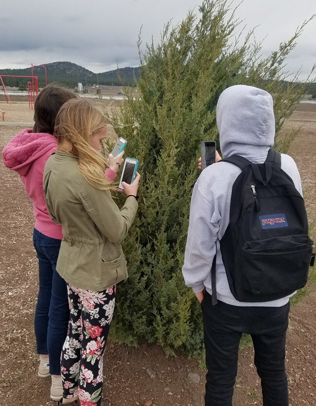 Title: iNaturalist citizen science - Description: Williams Middle School students use their smart phones to participate in the Kaibab National Forest’s citizen science project and contribute to species information in the Williams area.