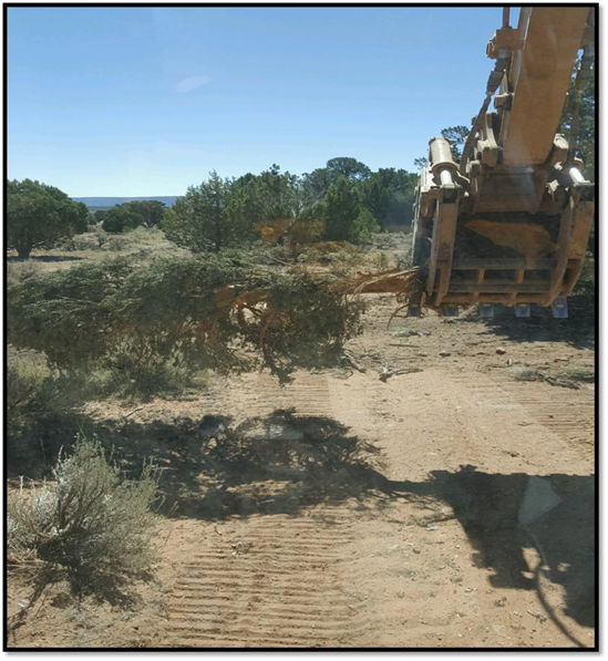 Title: An excavator on dozer line - Description: An excavator redistributing vegetation materail on a dozer line
